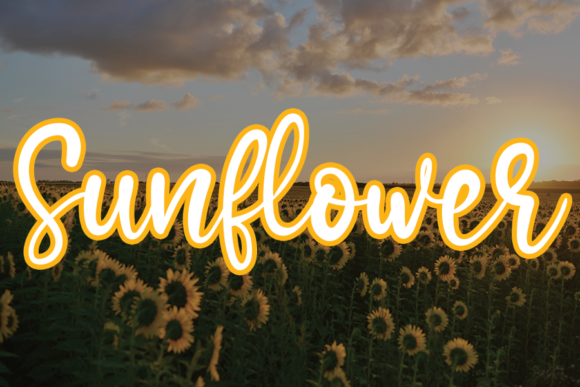 The Art of Handwritten Charm: Mastering the Sunflower Font in Modern Design