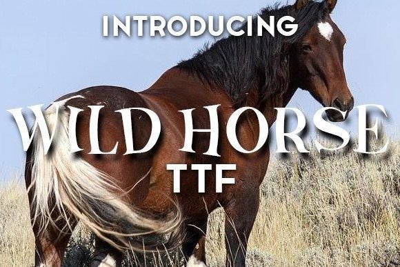 Unleashing Creativity with the Wild Horse Display Font